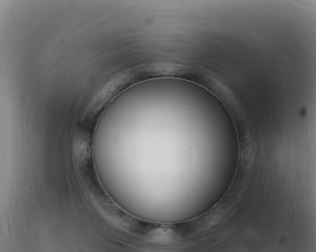 X0000116890119200912291311