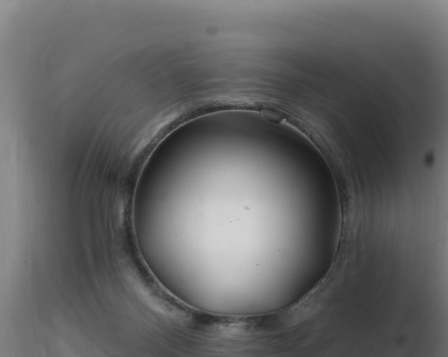 X0000116890120200912291311