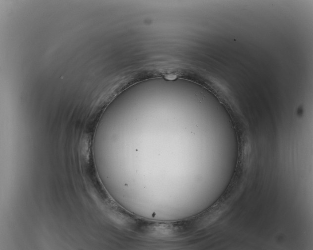 X0000116890121200912291311