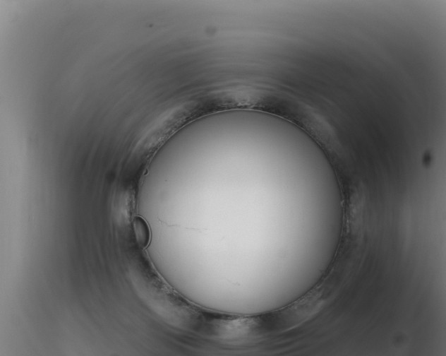 X0000116890122200912291311