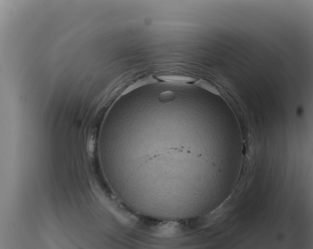 X0000116890124200912291311