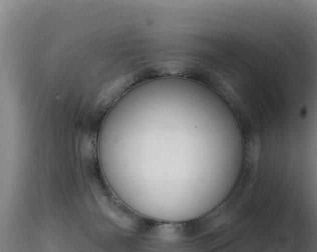 X0000116890126200912291311