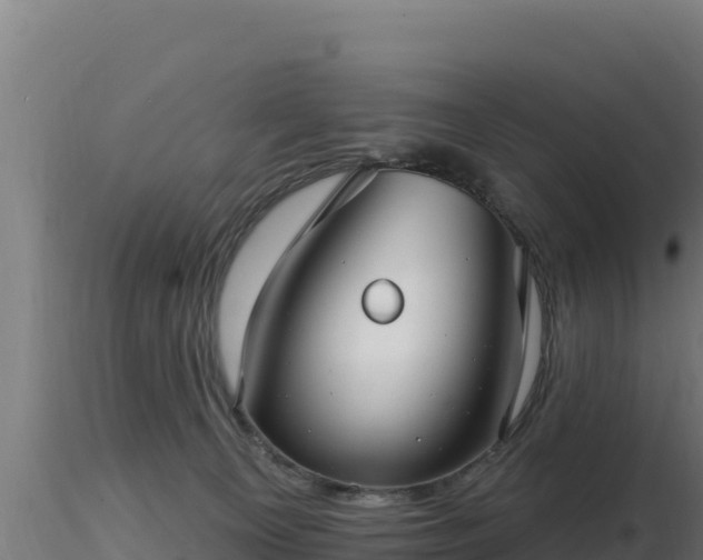 X0000116890129200912291311