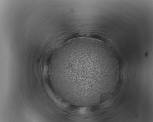 X0000116890130200912291311