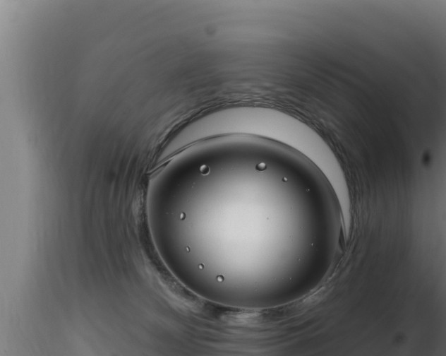 X0000116890132200912291311
