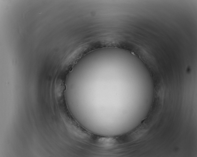 X0000116890133200912291311