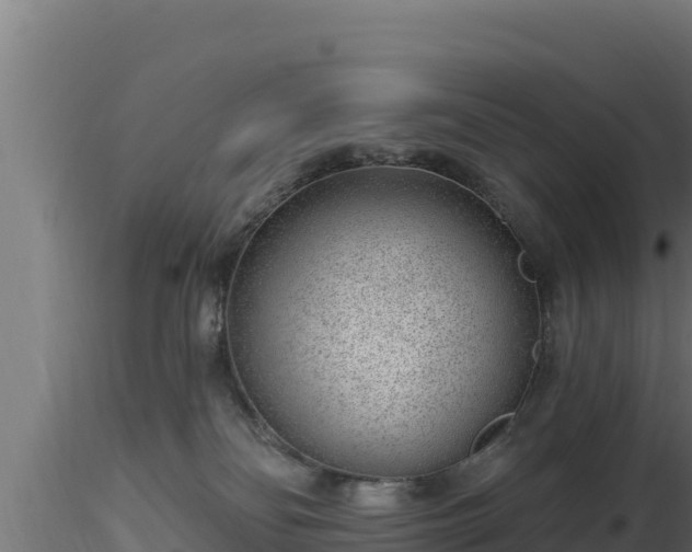 X0000116890134200912291311