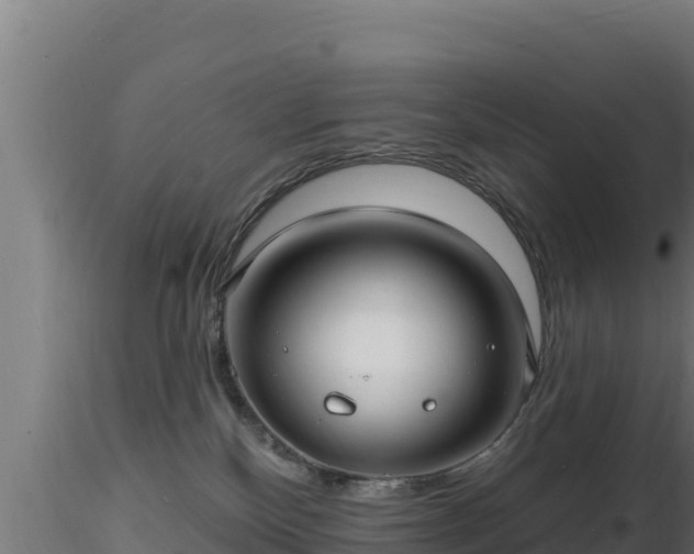 X0000116890136200912291311