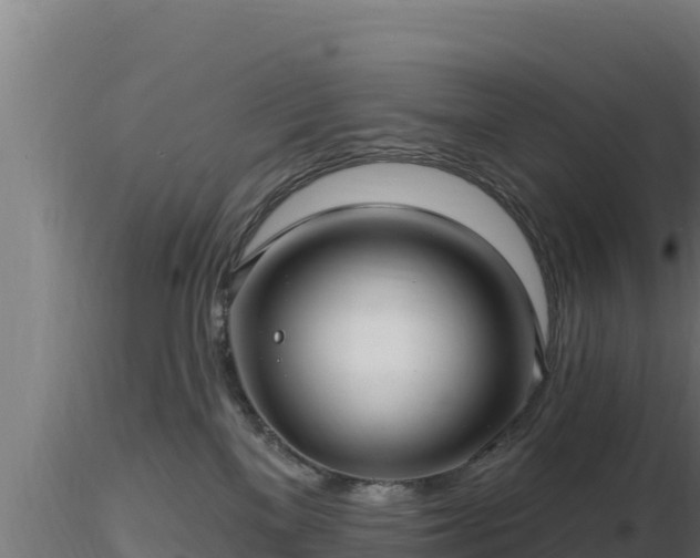 X0000116890137200912291311