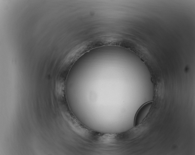 X0000116890138200912291311