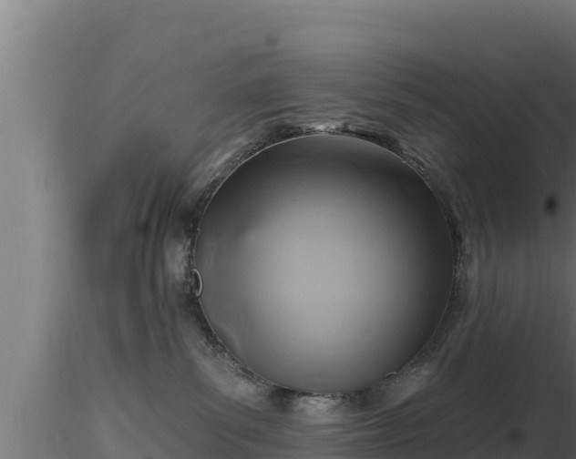 X0000116890139200912291311