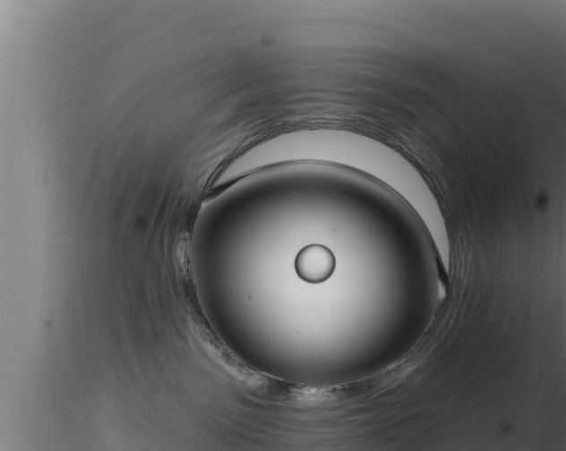 X0000116890141200912291311