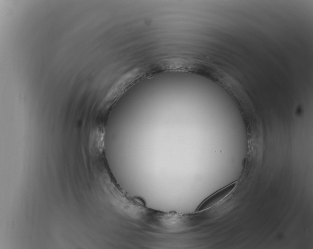 X0000116890142200912291311