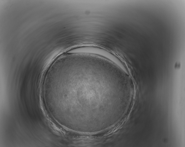 X0000116890145200912291310