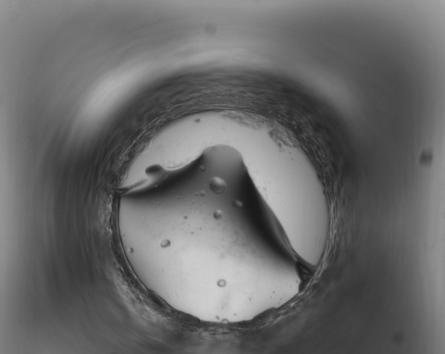 X0000116890146200912291310