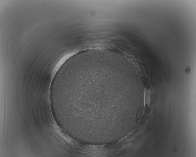 X0000116890147200912291310