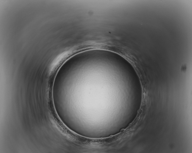 X0000116890149200912291310