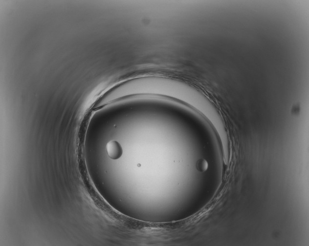 X0000116890150200912291310