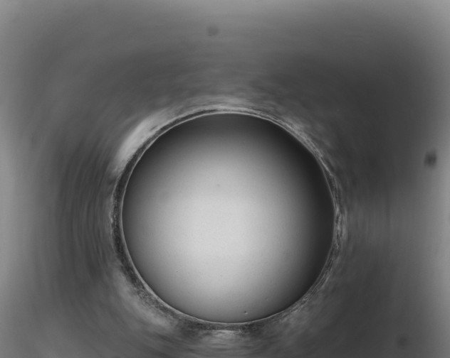 X0000116890151200912291310