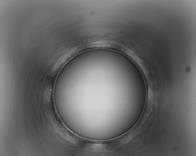 X0000116890153200912291310