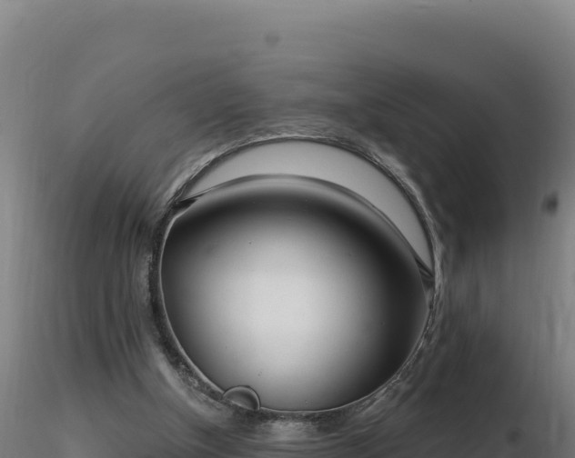 X0000116890154200912291310