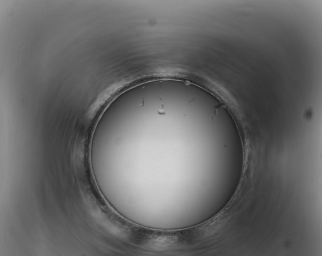 X0000116890155200912291310