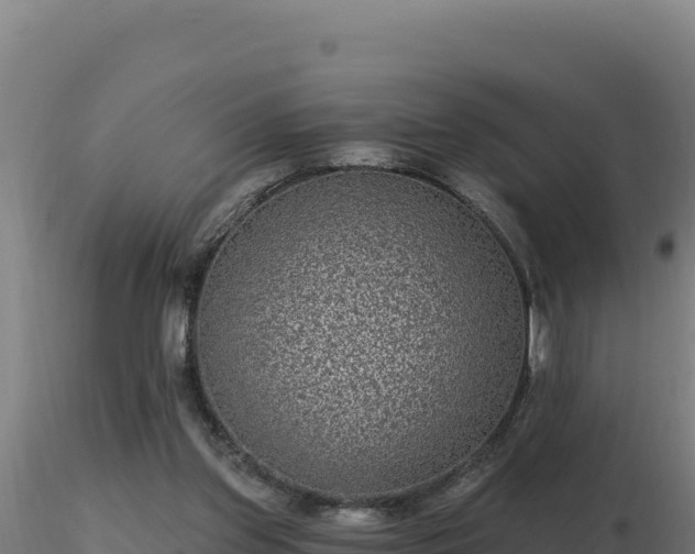 X0000116890157200912291310