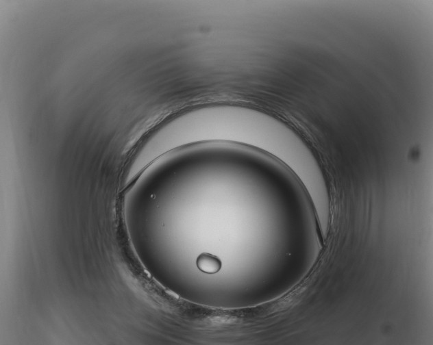 X0000116890158200912291310