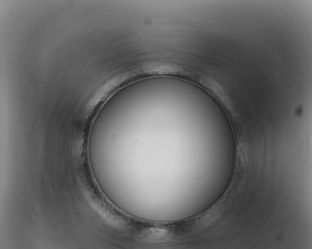 X0000116890159200912291310
