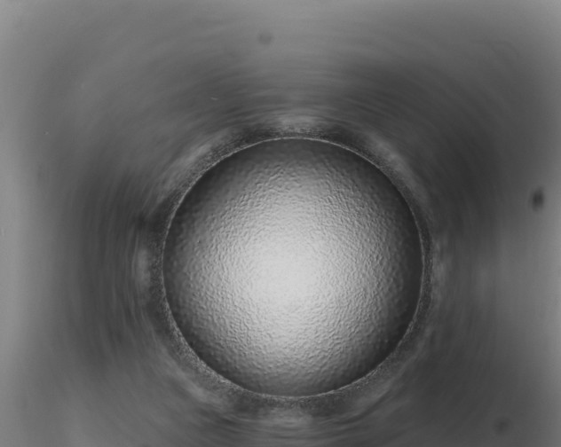 X0000116890161200912291310