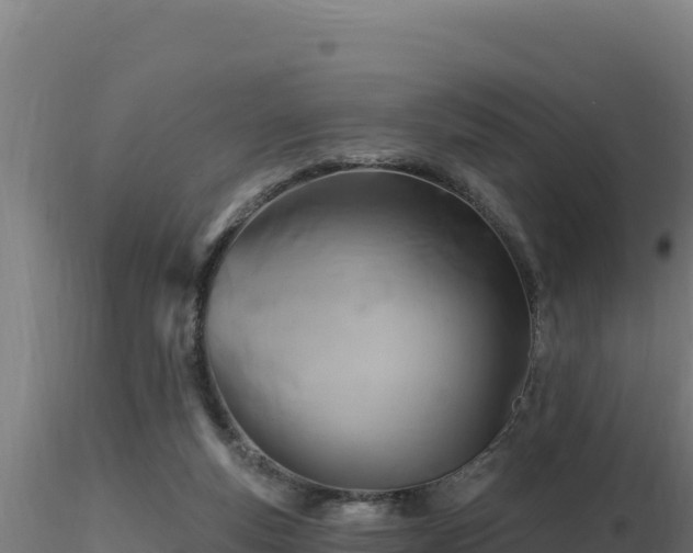 X0000116890163200912291310