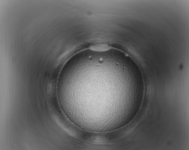 X0000116890165200912291310