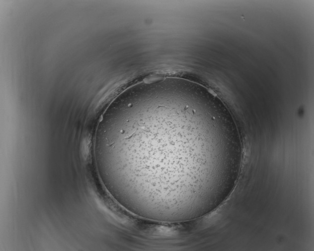 X0000116890166200912291310
