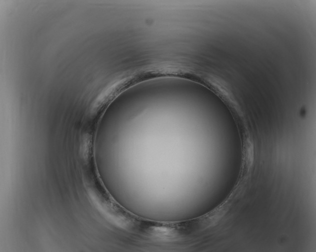 X0000116890167200912291310