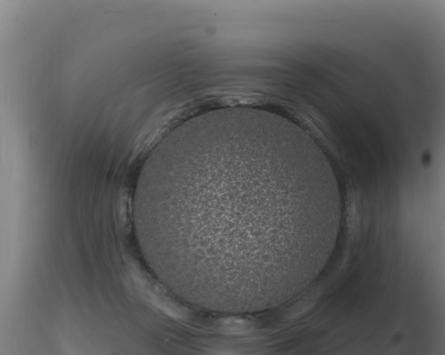 X0000116890169200912291311