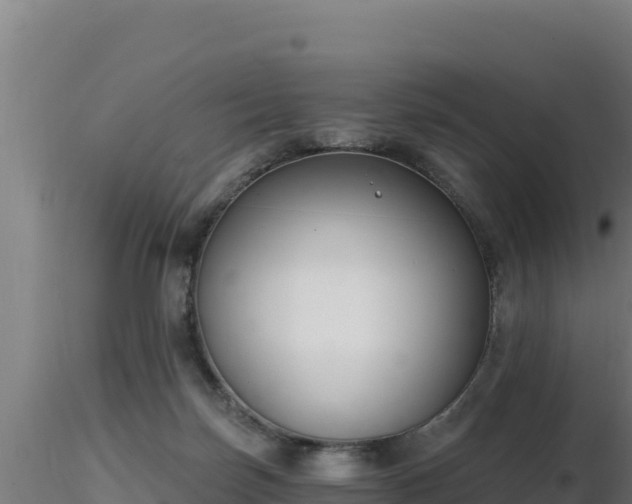 X0000116890171200912291311