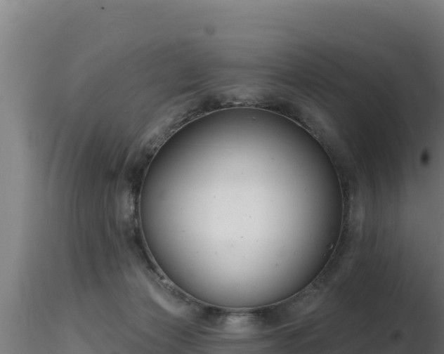 X0000116890173200912291311