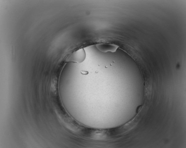 X0000116890175200912291311