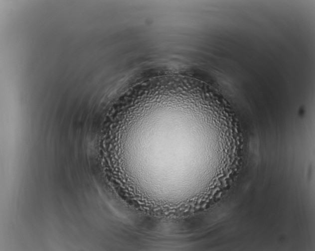 X0000116890177200912291311