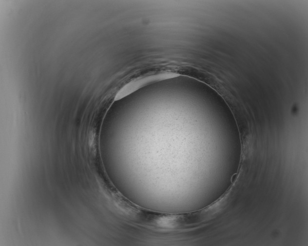 X0000116890178200912291311