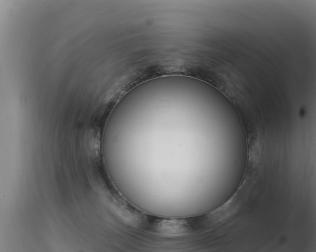 X0000116890179200912291311