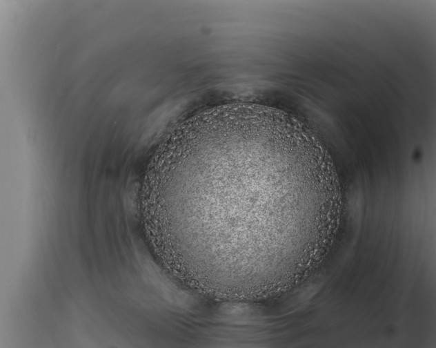 X0000116890181200912291311