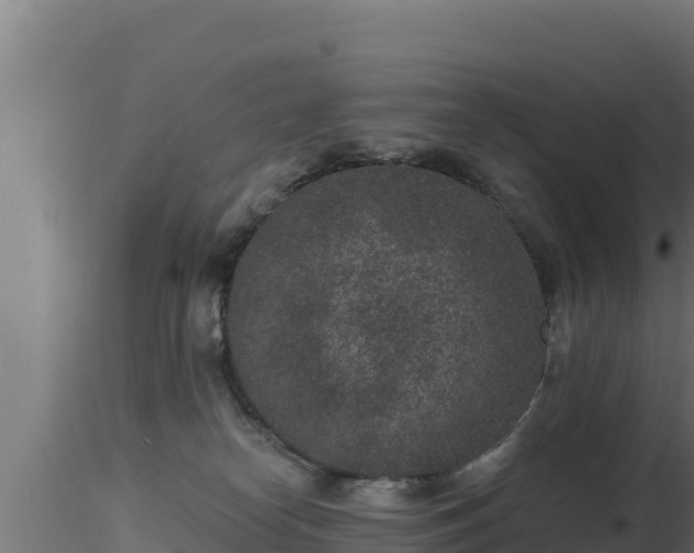 X0000116890182200912291311