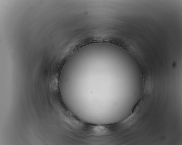 X0000116890183200912291311