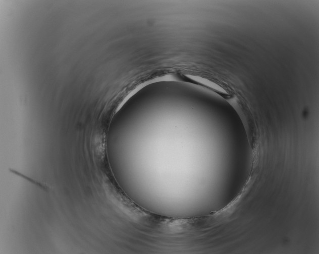 X0000116890186200912291311