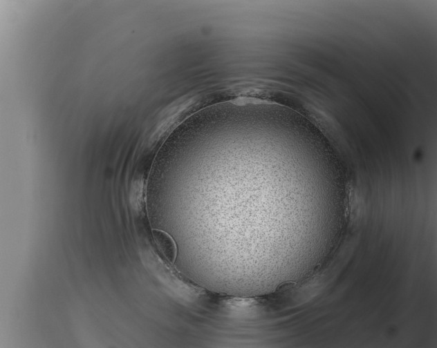 X0000116890189200912291311