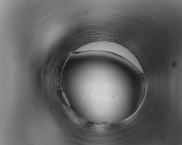 X0000116890190200912291311