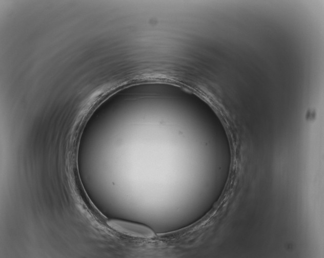 X0000116890193200912291310