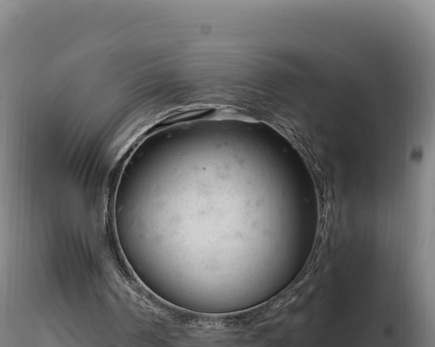 X0000116890194200912291310