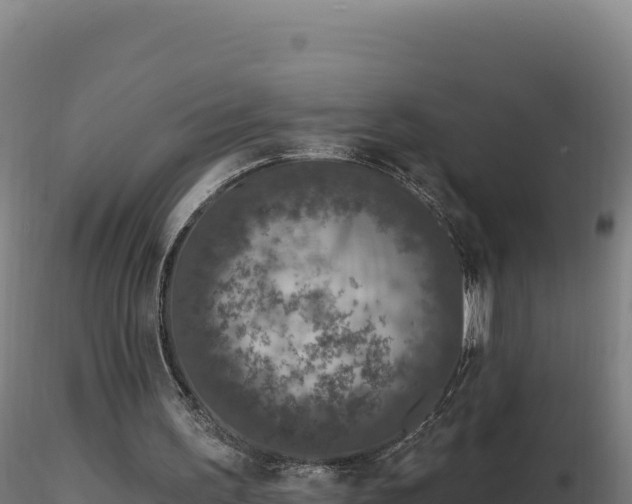 X0000116890195200912291310